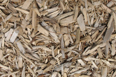 biomass boilers Bograxie