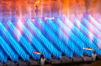 Bograxie gas fired boilers